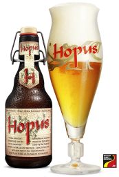 Hopus